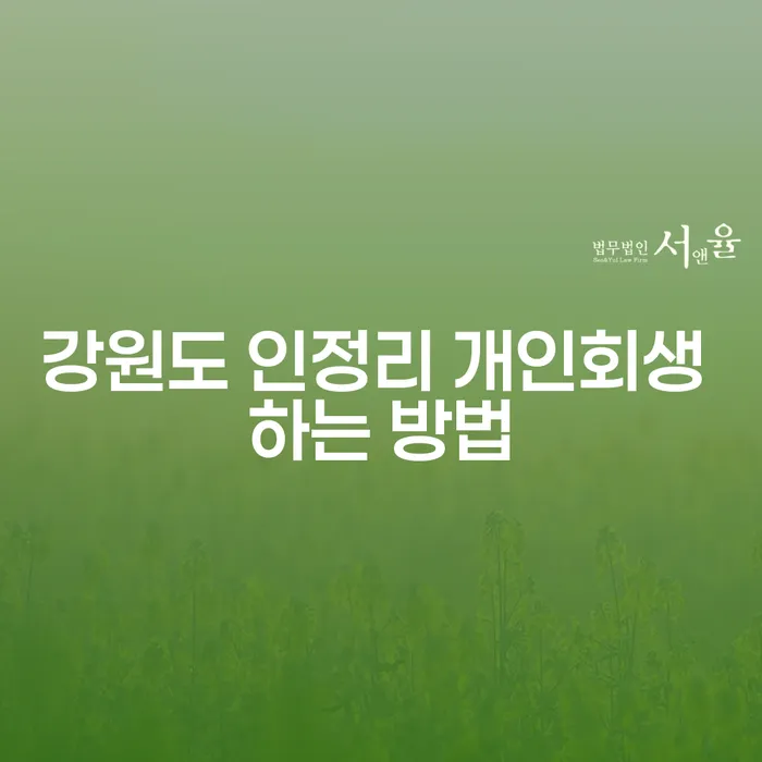 강원도 인정리에서 개인회생을 성공적으로 신청하는 방법은 무엇일까요?