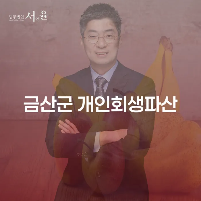 금산군에서 개인회생과 파산, 무엇이 더 적합할까요?