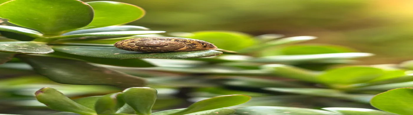 법무법인 서앤율